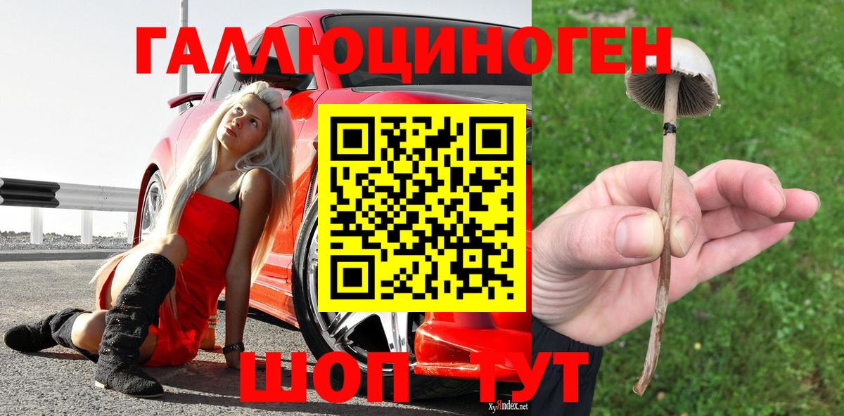 Норильск  Галлюциногенные грибы MAGIC MUSHROOMS  наркотики  Вход с VPN 